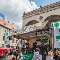 Odeonsplatz München 2017 (Foto Sepp Salvermoser)